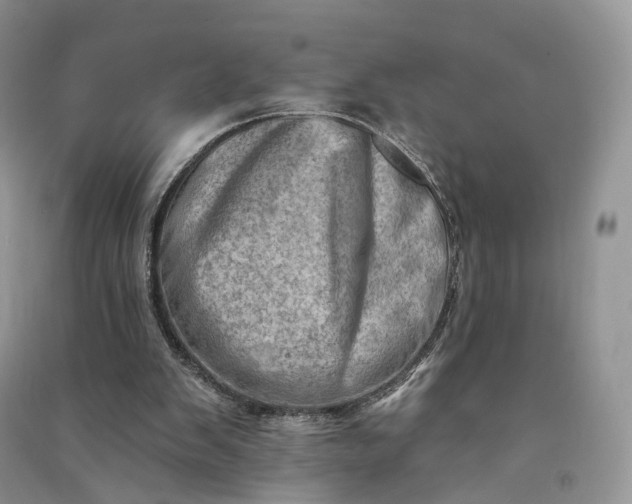 X0000090930103200708131502