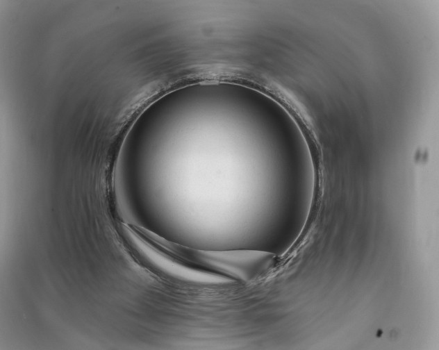 X0000090930105200708131502