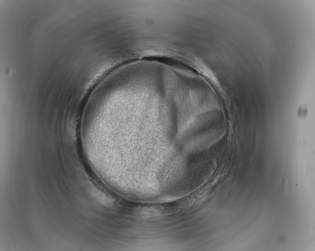 X0000090930106200708131502