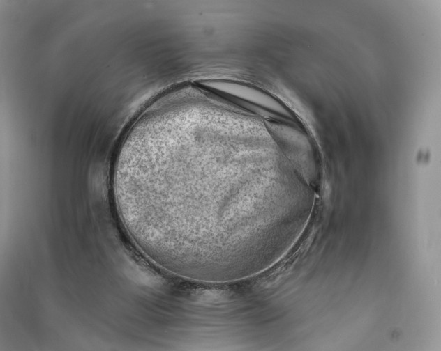 X0000090930107200708131502