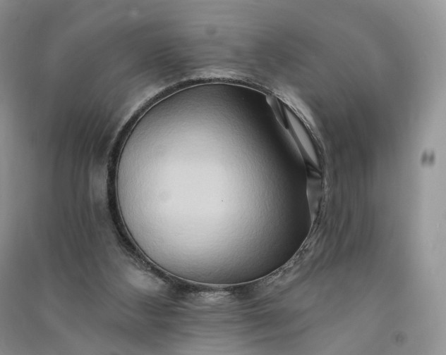 X0000090930108200708131502