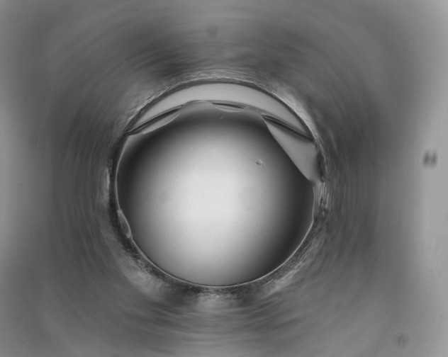 X0000090930109200708131502