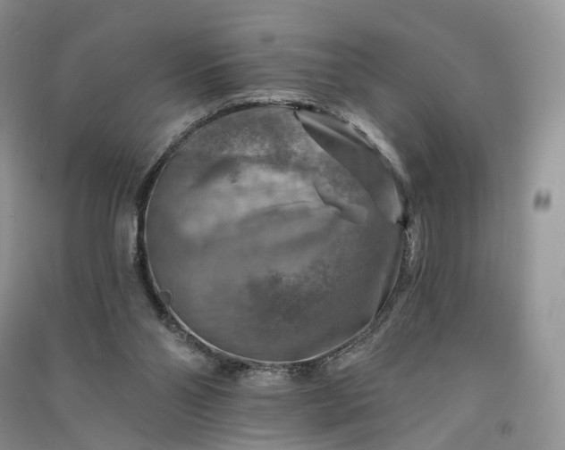 X0000090930110200708131502