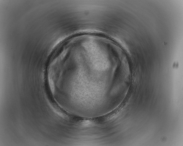 X0000090930111200708131501