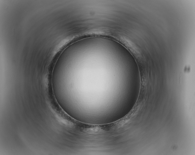 X0000090930112200708131501