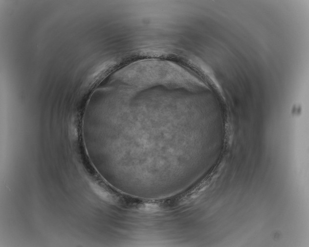 X0000090930114200708131501