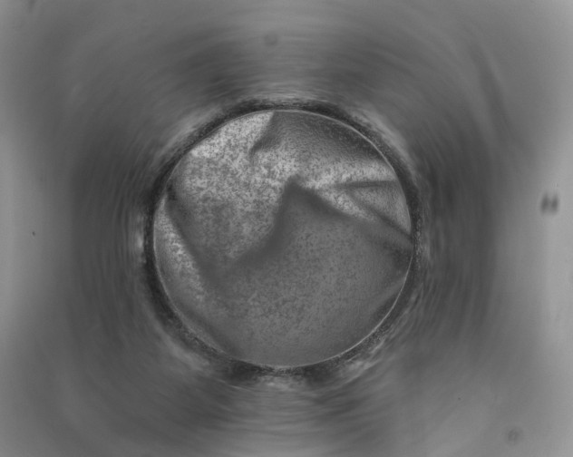 X0000090930115200708131501