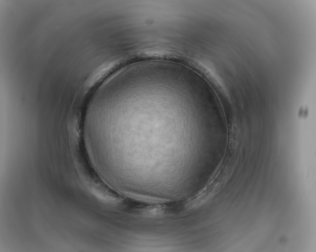 X0000090930116200708131501