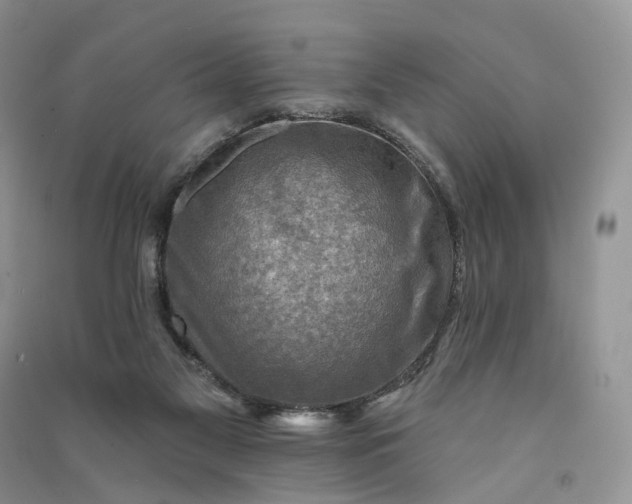 X0000090930117200708131501