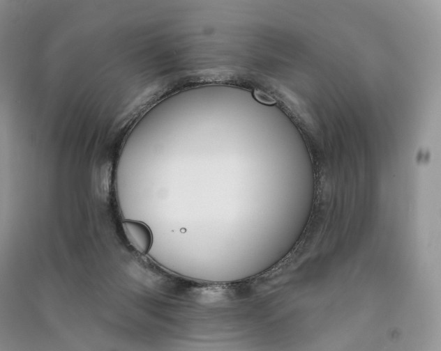 X0000090930118200708131501