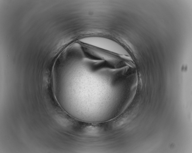 X0000090930119200708131501