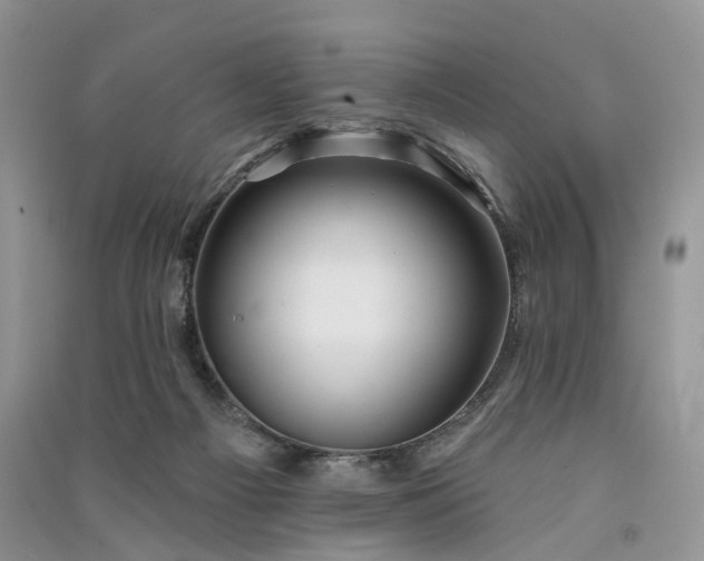 X0000090930121200708131501