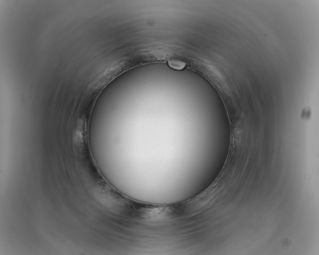 X0000090930122200708131501