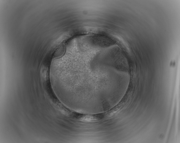 X0000090930123200708131501