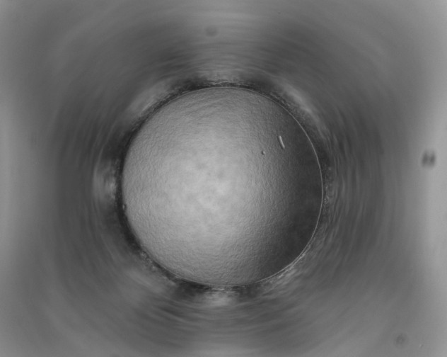 X0000090930124200708131501