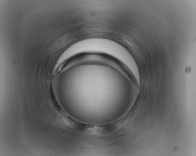 X0000090930125200708131501