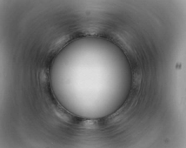 X0000090930126200708131501