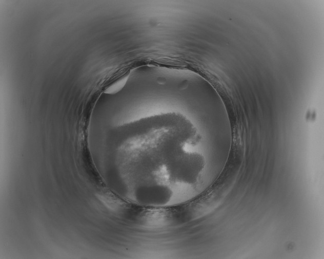 X0000090930127200708131501