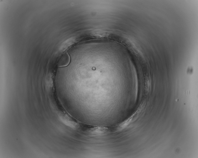 X0000090930128200708131501