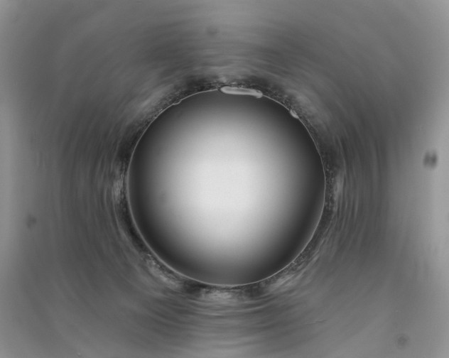 X0000090930129200708131501