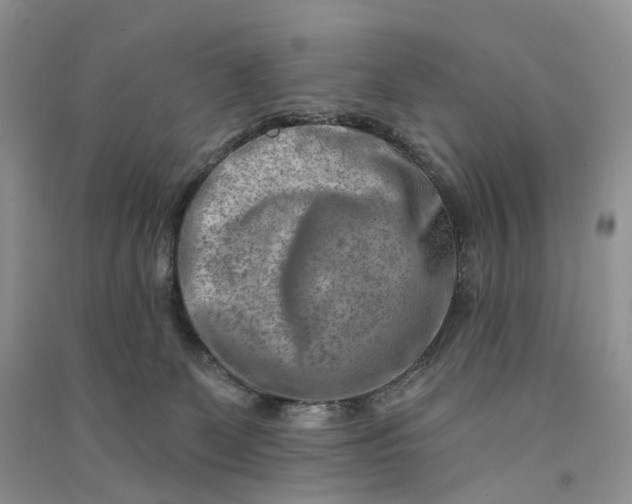 X0000090930131200708131501