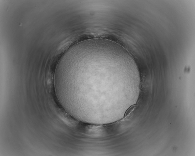 X0000090930132200708131501