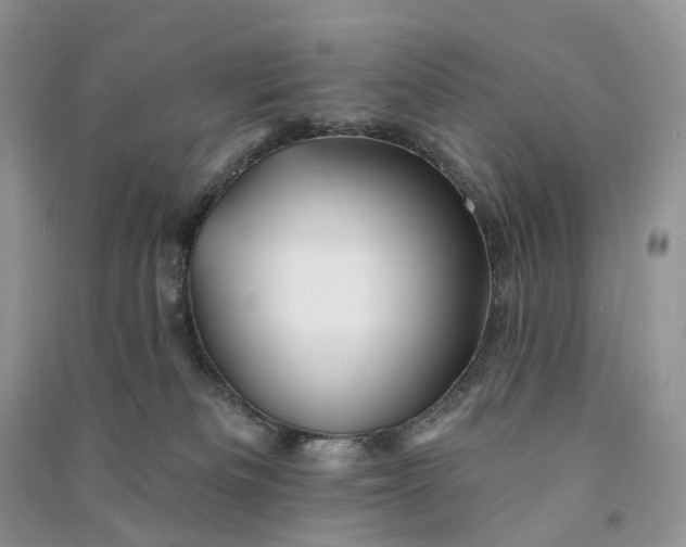 X0000090930133200708131501