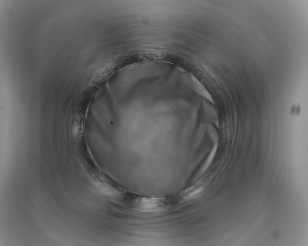 X0000090930134200708131501