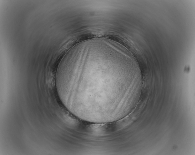 X0000090930136200708131501