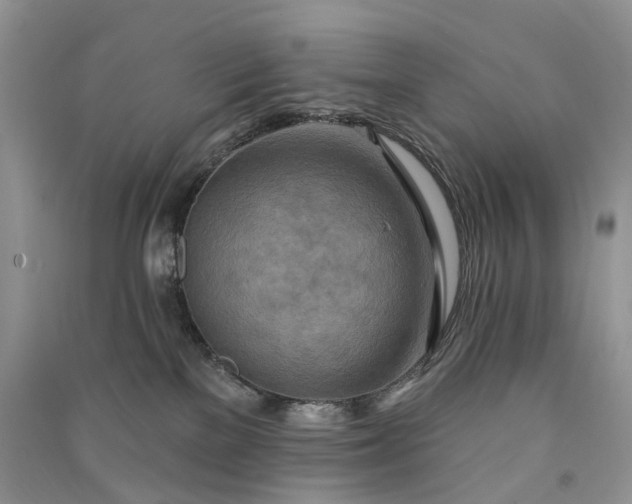 X0000090930137200708131501