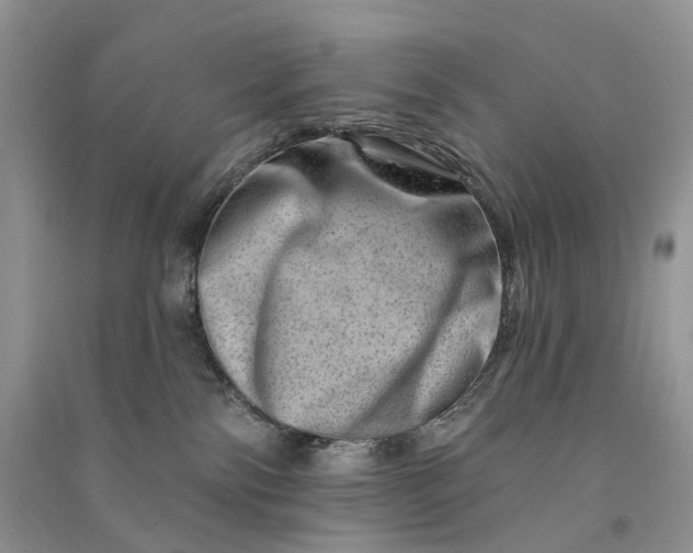 X0000090930138200708131501