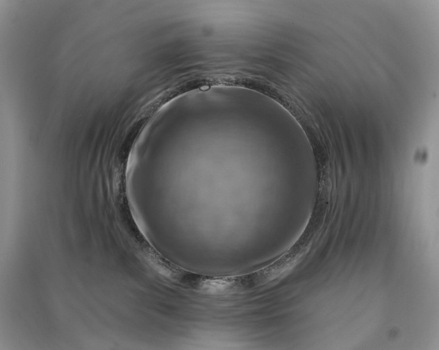 X0000090930139200708131501