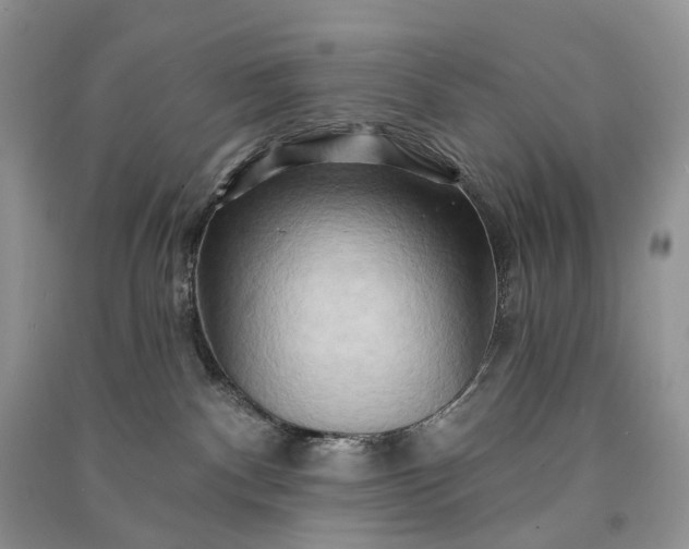 X0000090930140200708131501