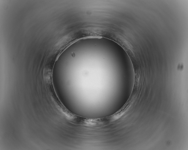 X0000090930141200708131501