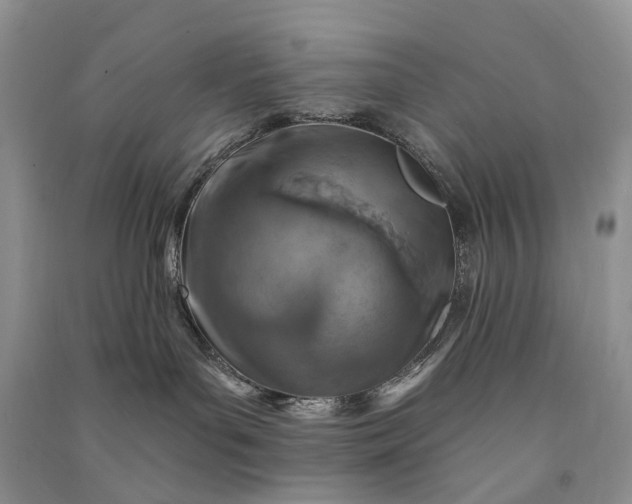 X0000090930143200708131501