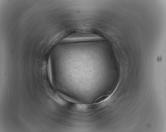 X0000090930144200708131501