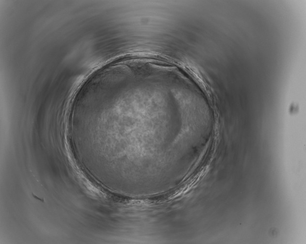 X0000090930145200708131500