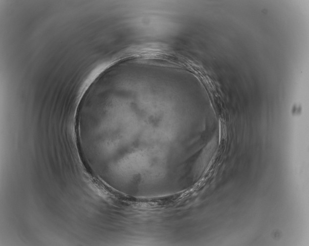 X0000090930147200708131500