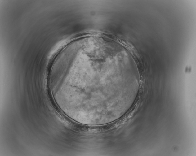 X0000090930149200708131500