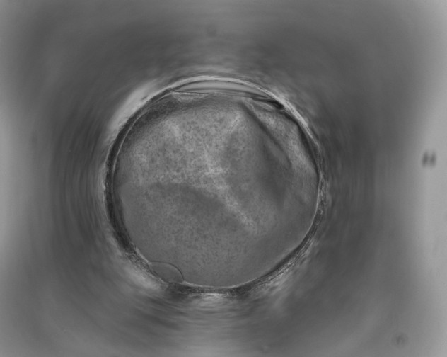 X0000090930151200708131500