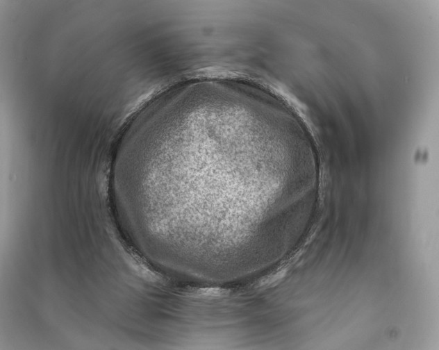 X0000090930153200708131500