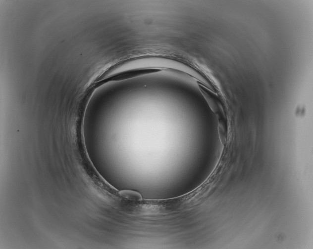 X0000090930154200708131500