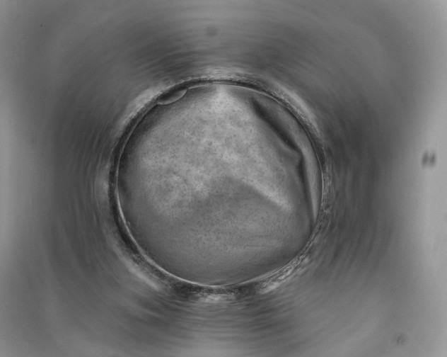 X0000090930155200708131500