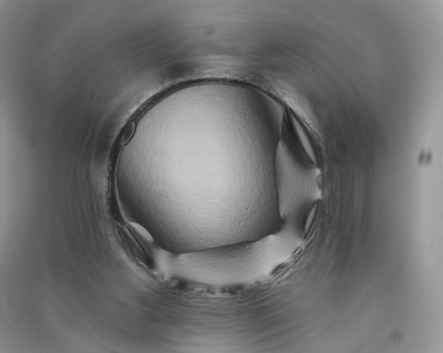 X0000090930156200708131500