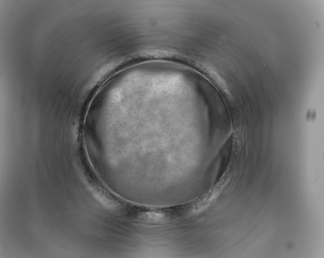 X0000090930159200708131500