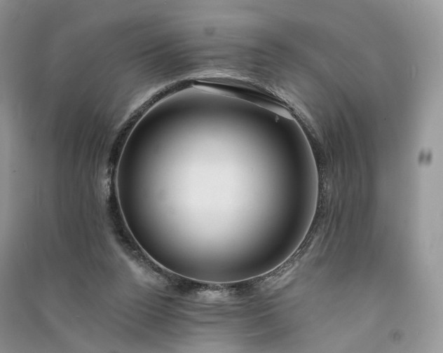 X0000090930160200708131501