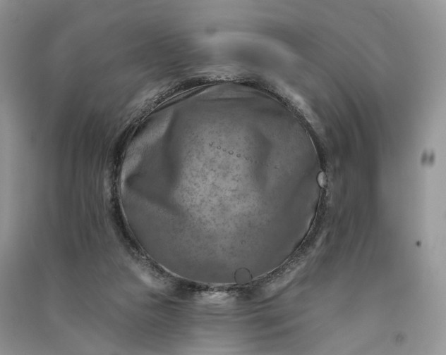 X0000090930161200708131501