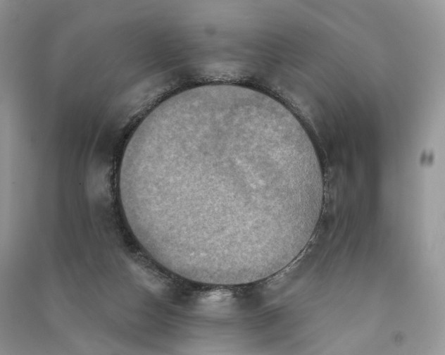 X0000090930162200708131501