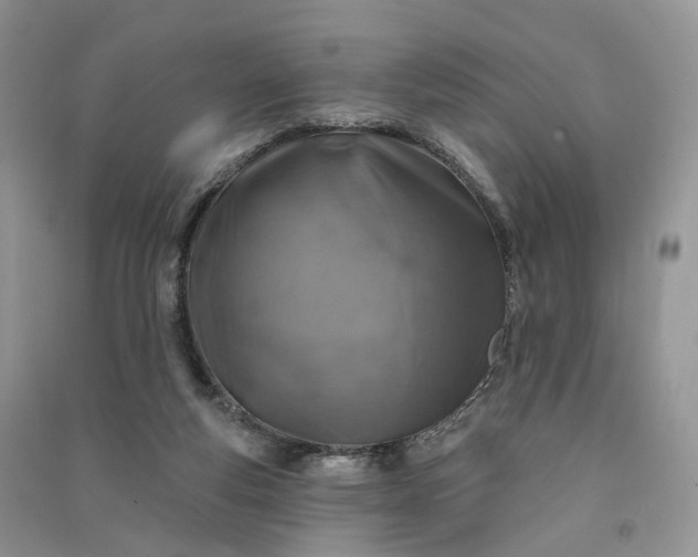 X0000090930163200708131501