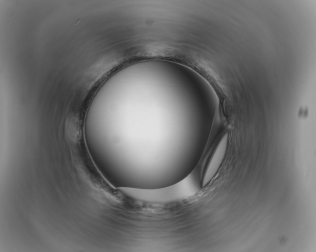 X0000090930164200708131501